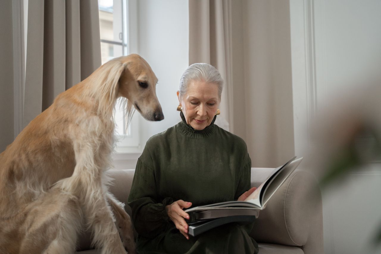 A senior woman enjoys a book indoors with her loyal greyhound by her side.